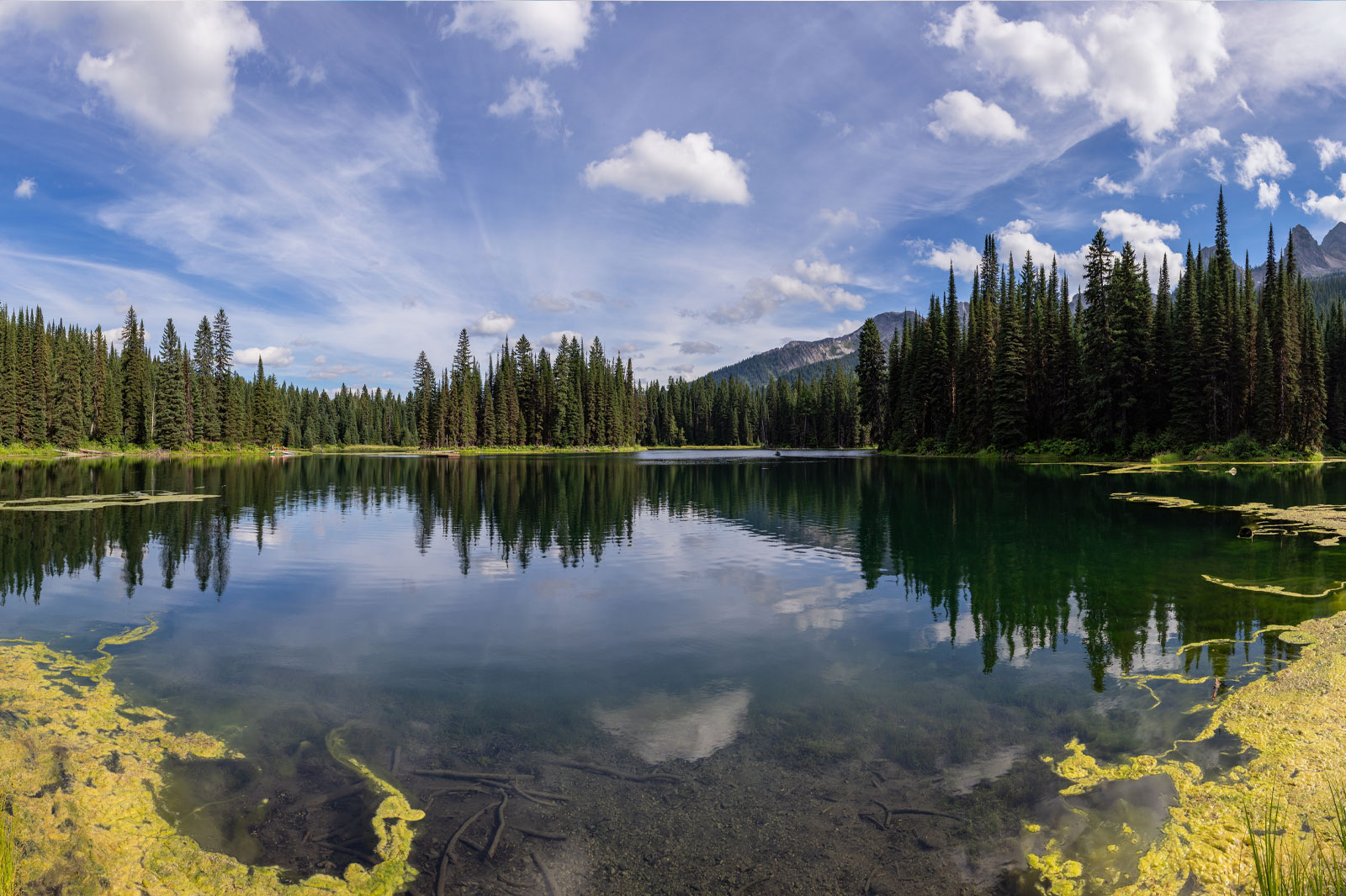 Rocky Mountain